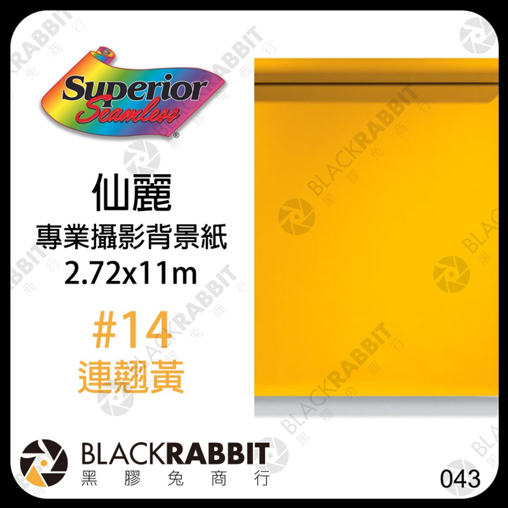 連翹黃 14