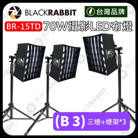 B3