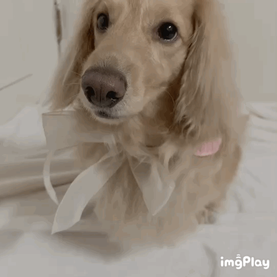 IMB_toLEUB.GIF IMB_toLEUB.GIF