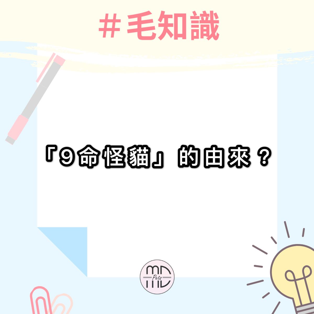#毛知識|「9命怪貓」的由來?