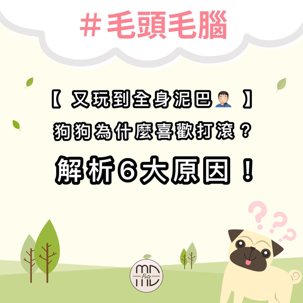 #毛頭毛腦|又給我玩到全身泥巴!狗狗為什麼喜歡打滾?解析6大原因!
