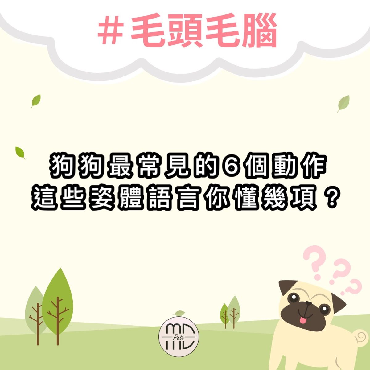 #毛頭毛腦|狗狗最常見的6個動作,這些姿體語言你懂幾項呢?