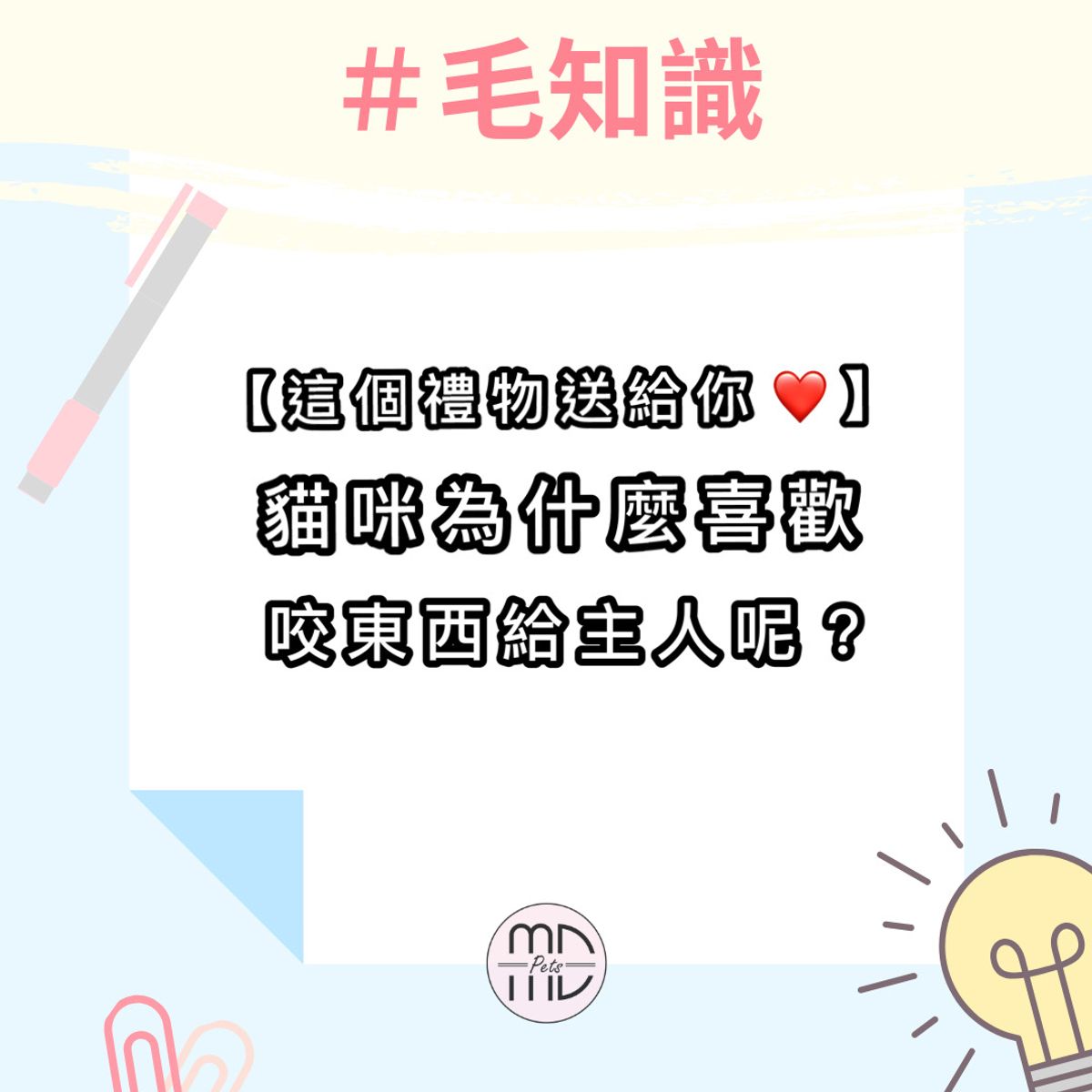 #毛知識|這個禮物送給你❤️貓咪為什麼喜歡咬東西給主人呢?