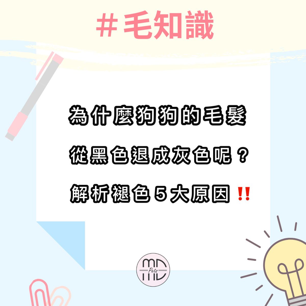 #毛知識|為什麼狗狗的毛髮從黑色褪變成灰色?解析褪色5大原因‼️
