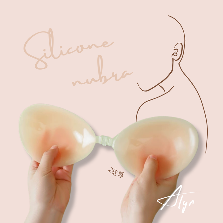 Copy of Silica Cover