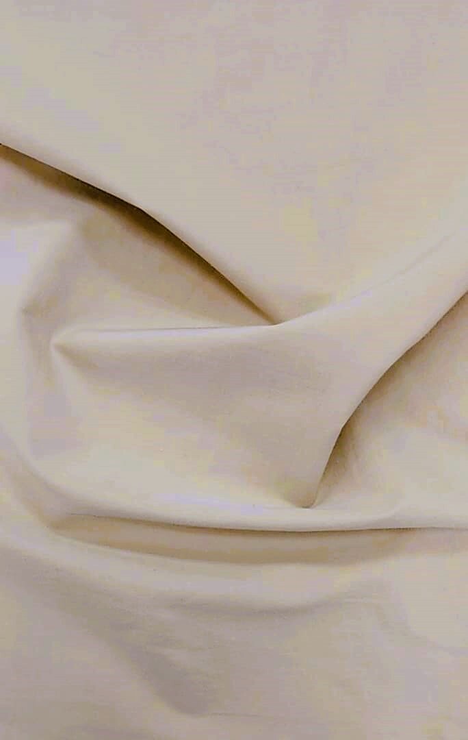 WhatsApp Image 2024-03-08 at 3.26.49 PM