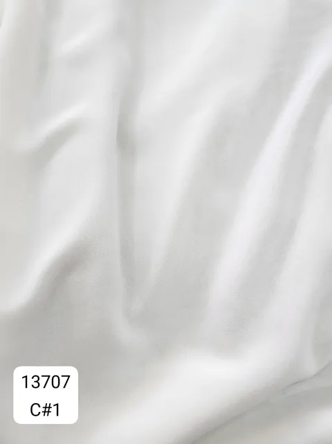 13707_C1