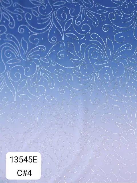13545E_C4