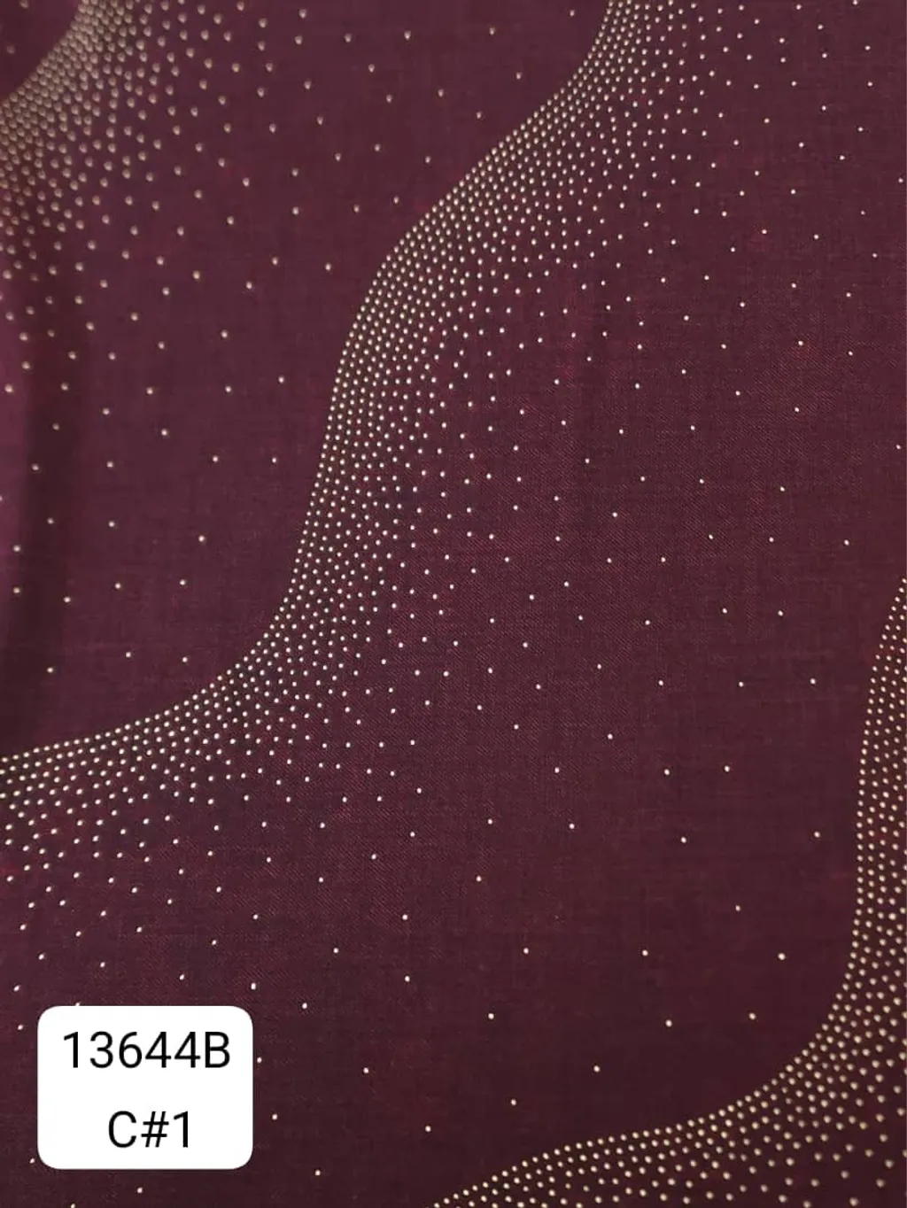 13644B_C1