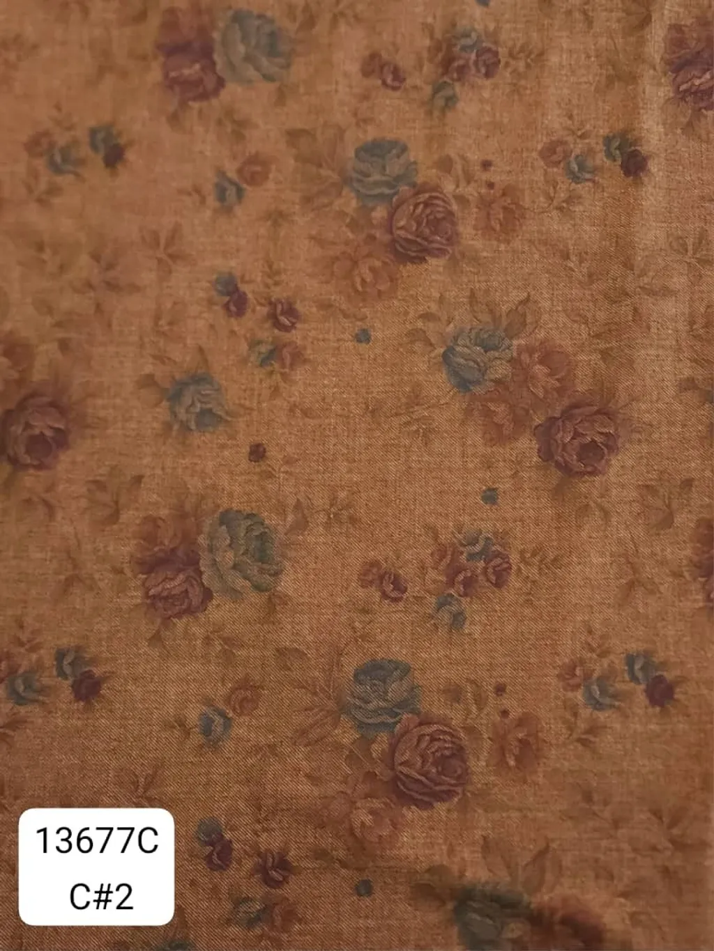 79509982