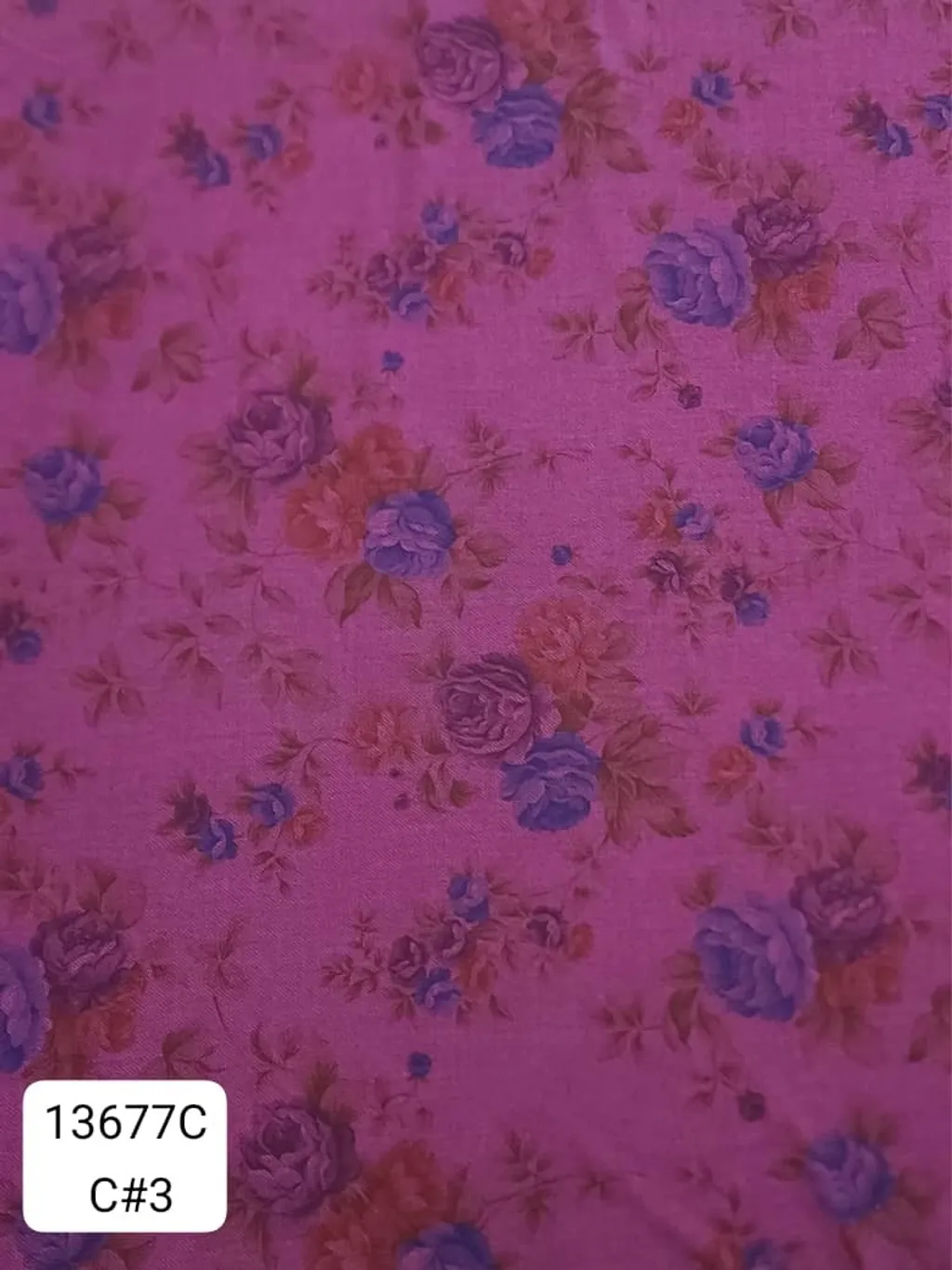 79509971