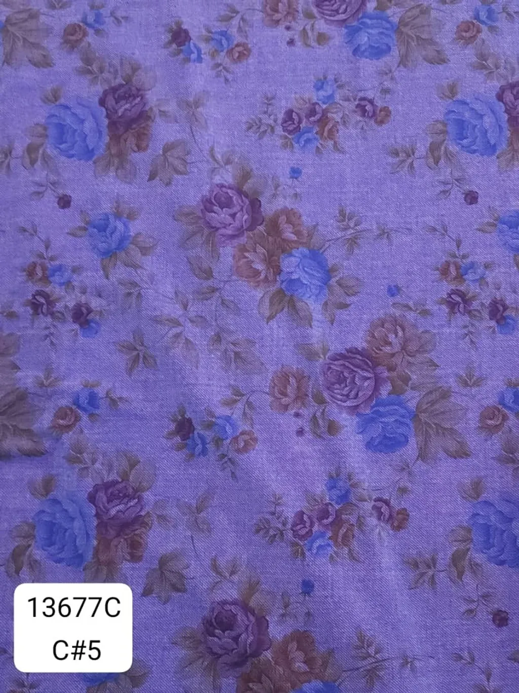 79509986