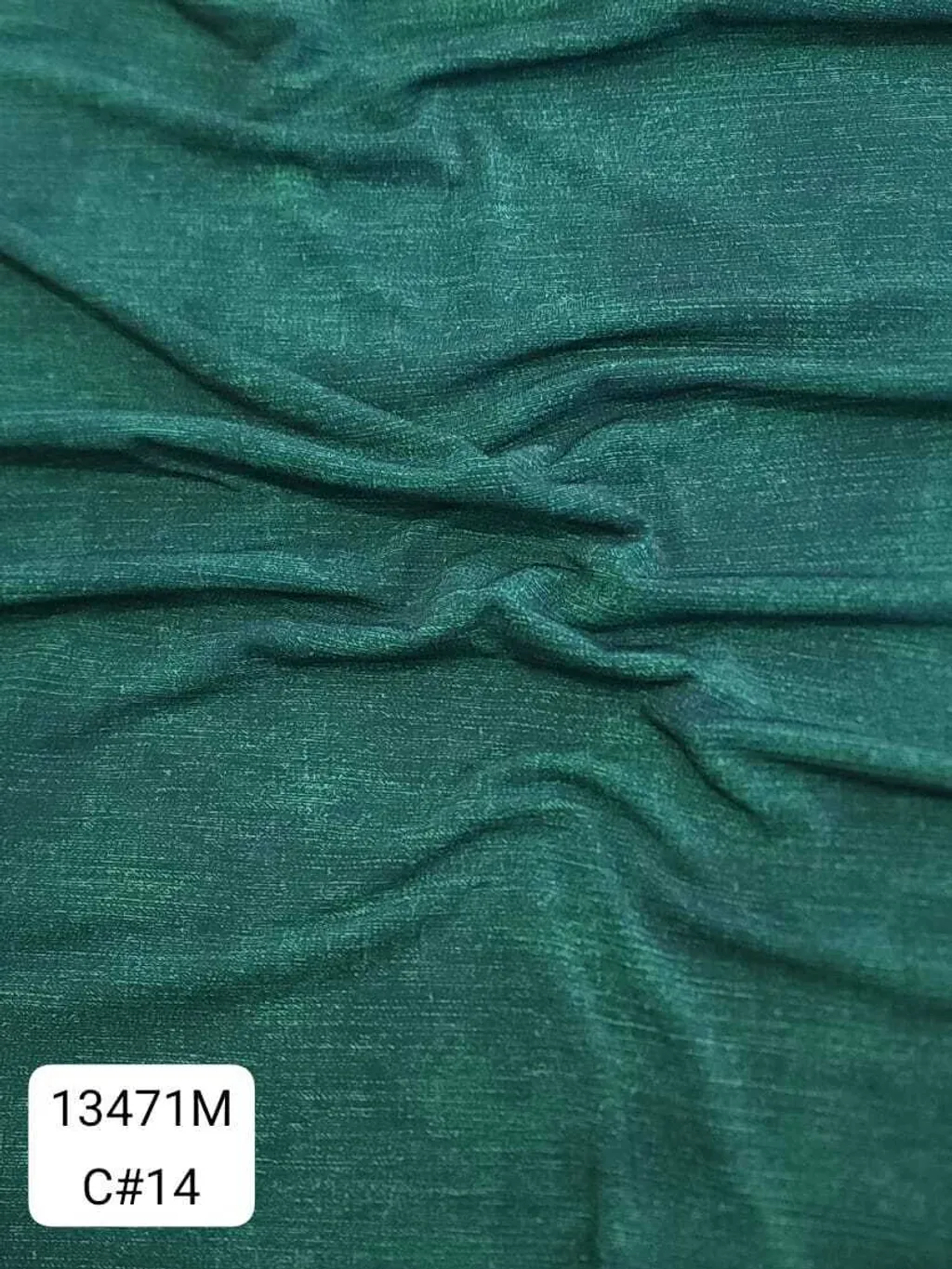 79510558