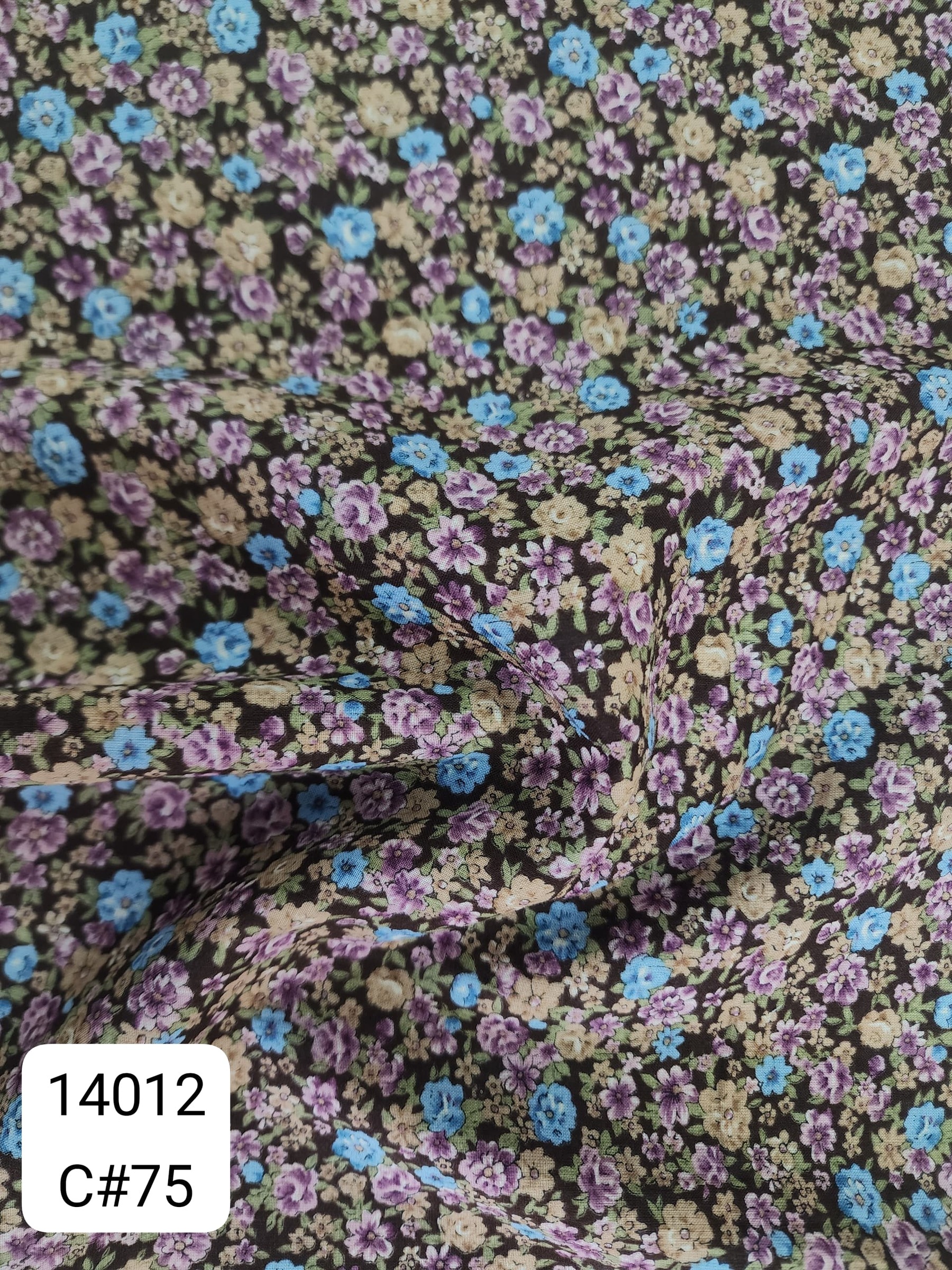 14012_C75