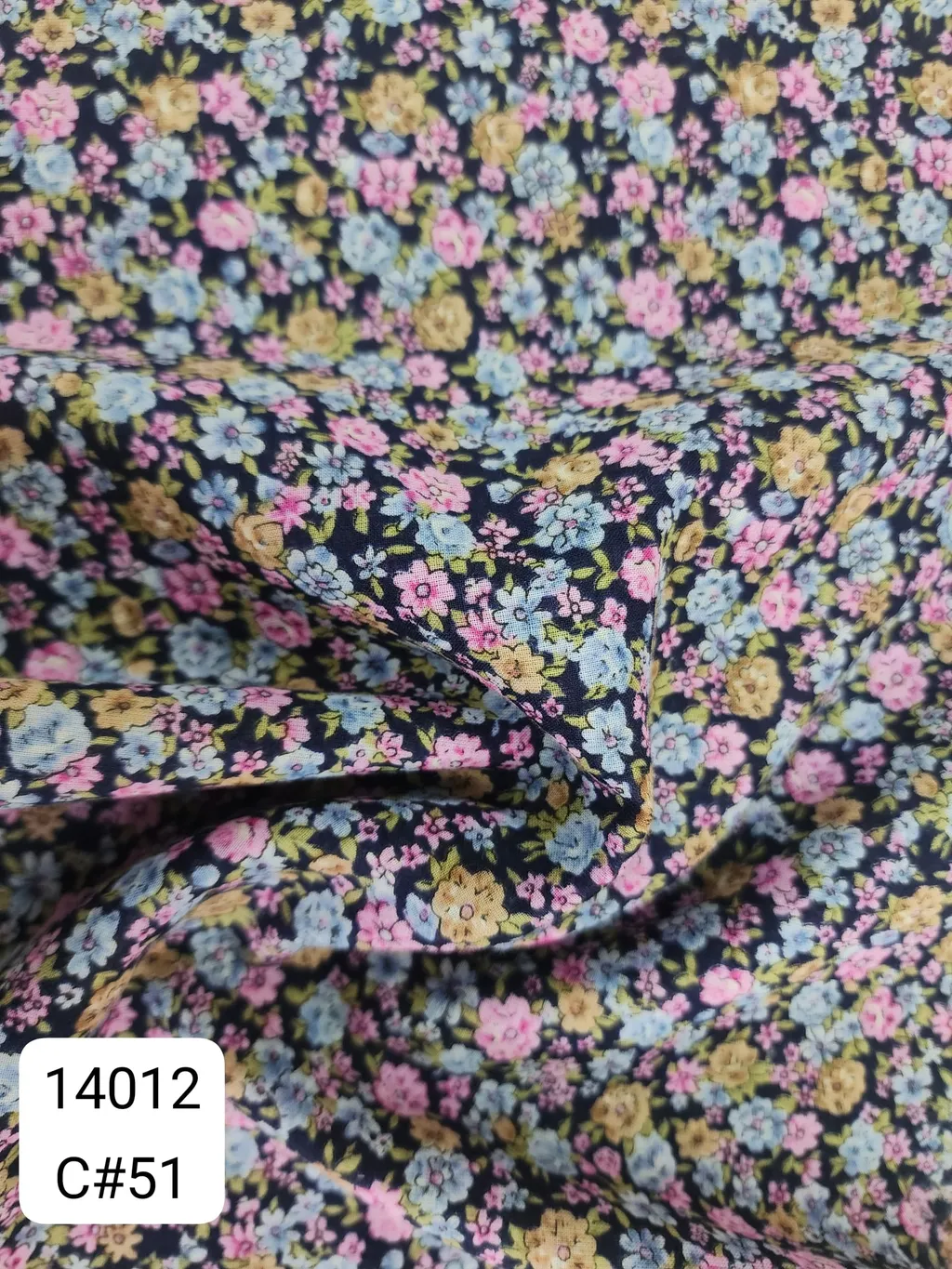 14012_C51