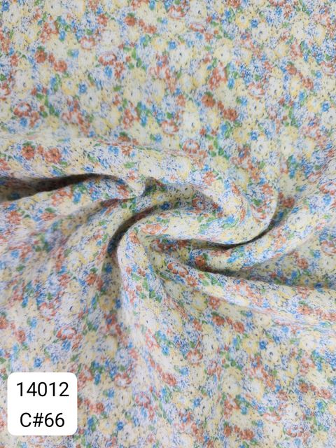 14012_C66