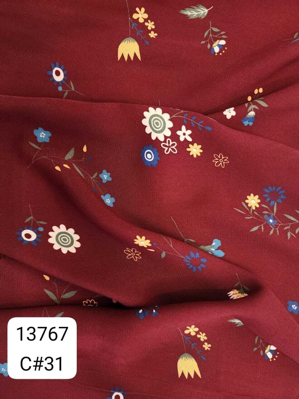 13767_C31