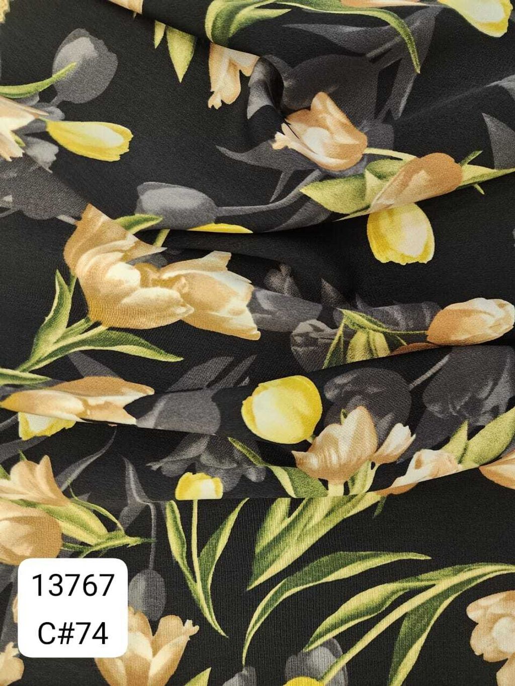 13767_C74