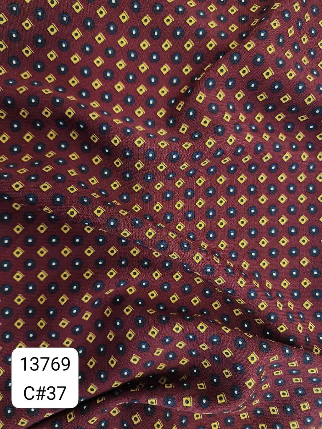 13769_C37