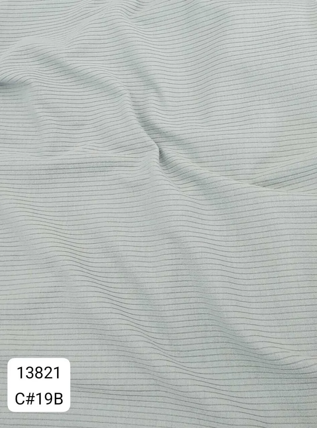 13821_C19B