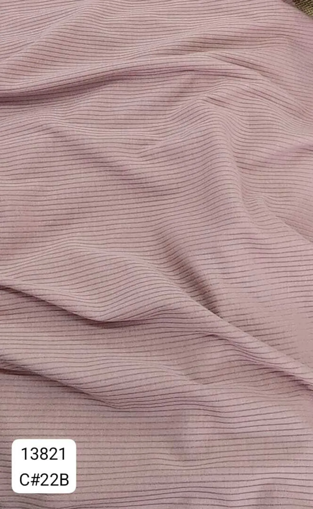 13821_C22B