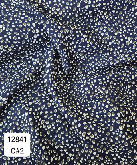12841_C2