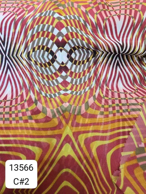 13566_C2