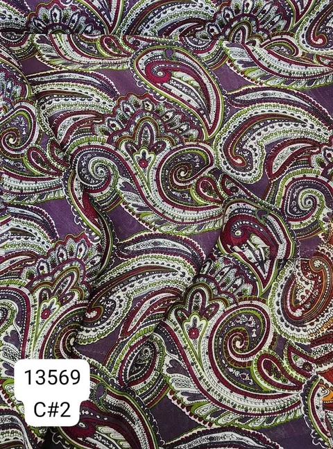 13569_C2