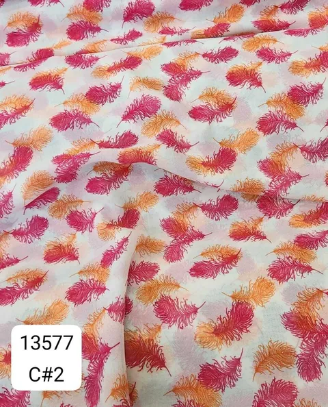 13577_C2
