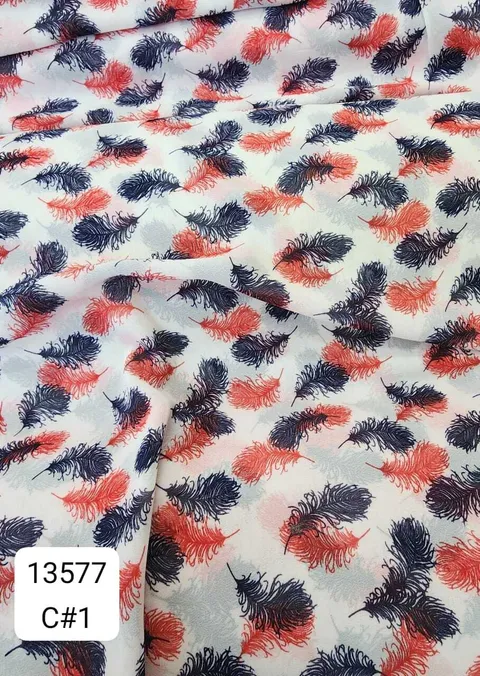 13577_C1
