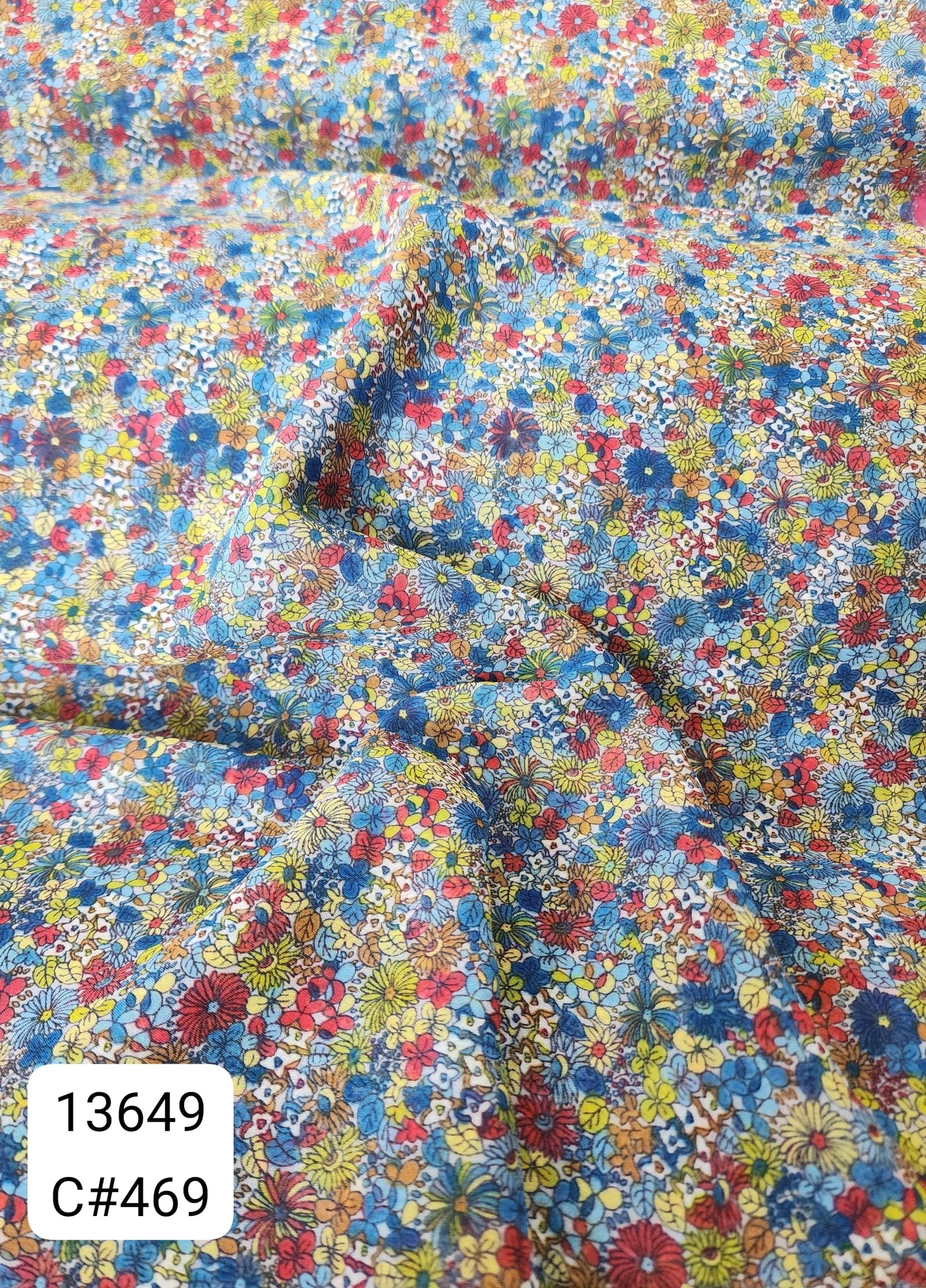 13649_C469