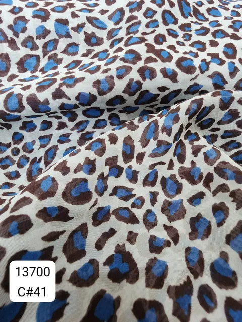 13700_C41