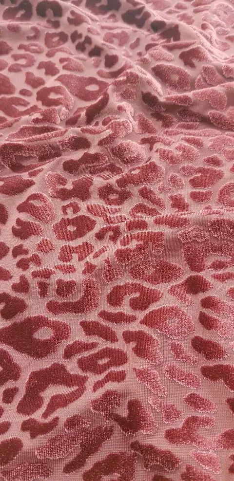 57877298