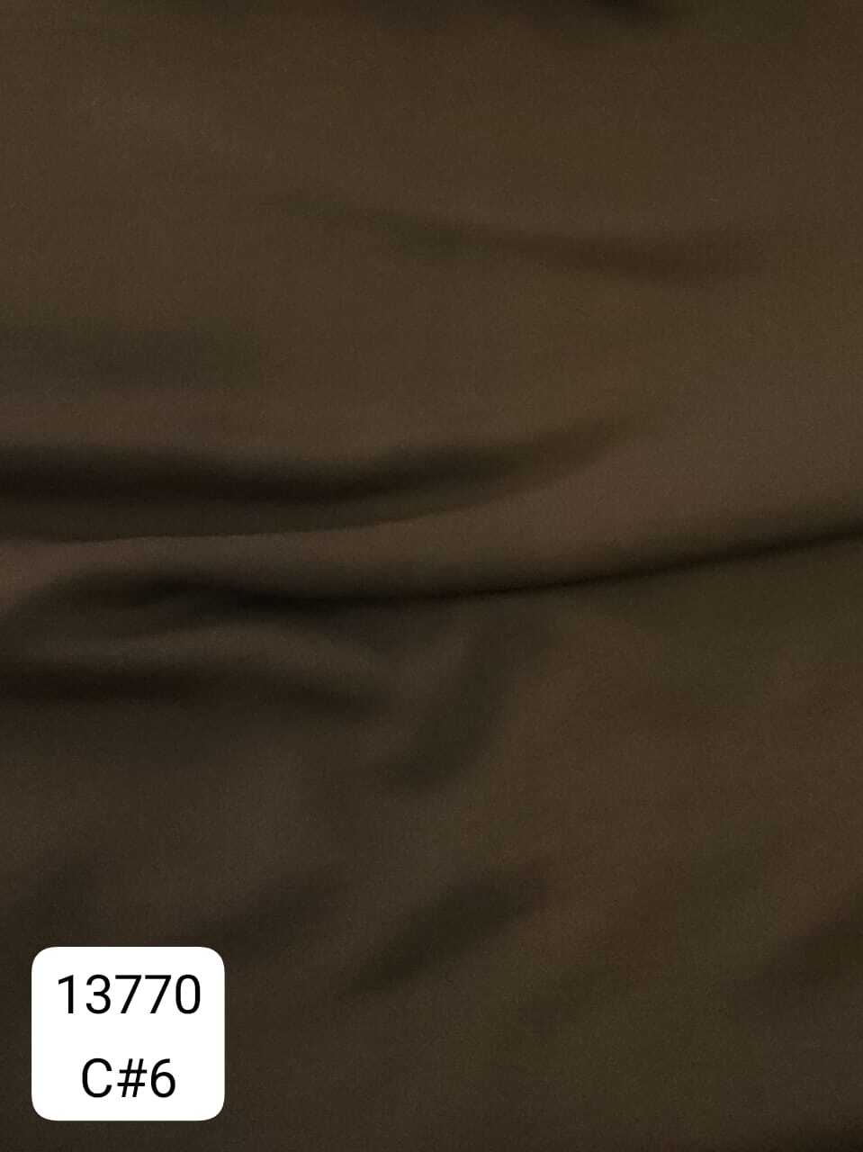 13770_C6