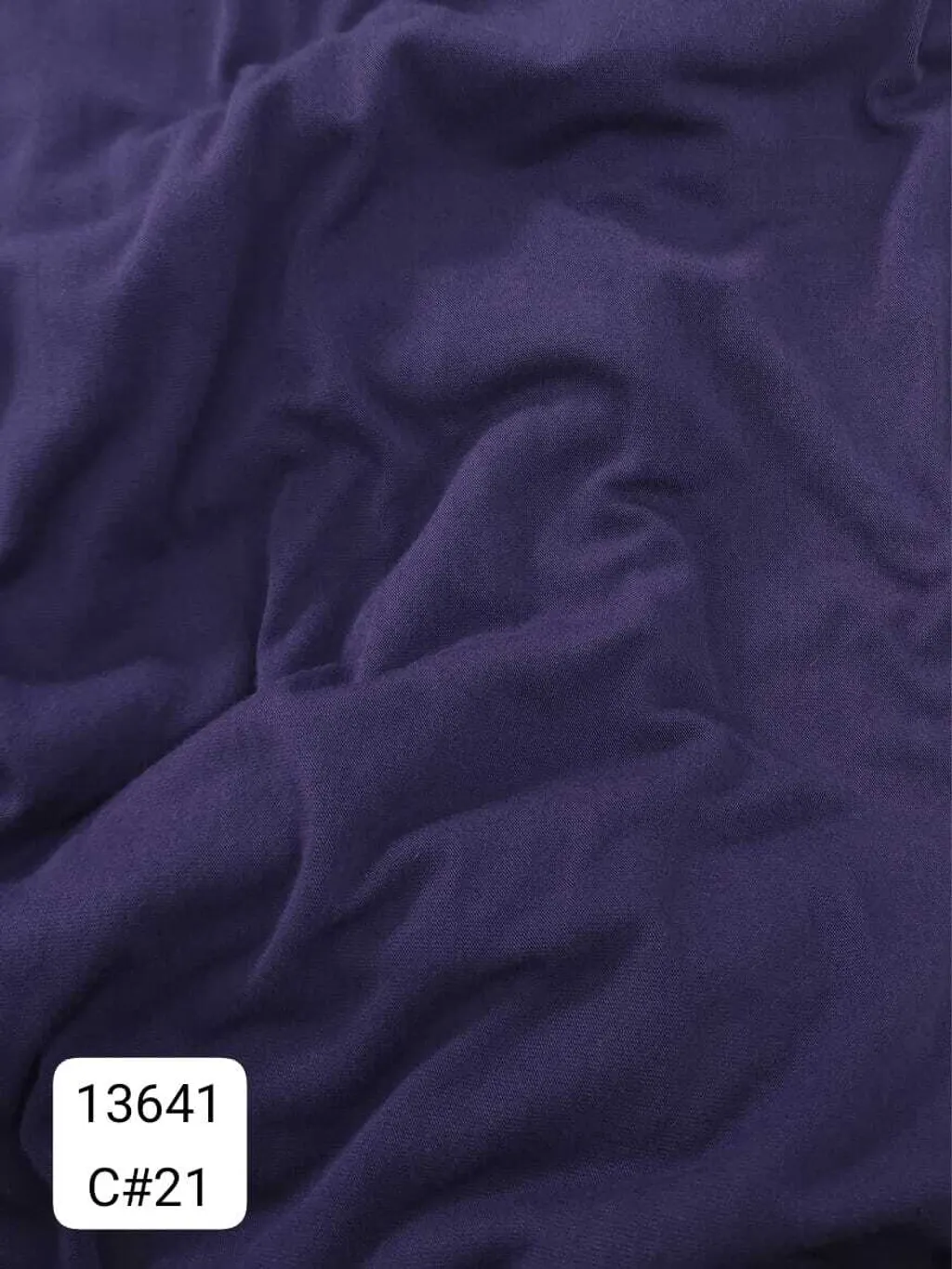 13641_C21