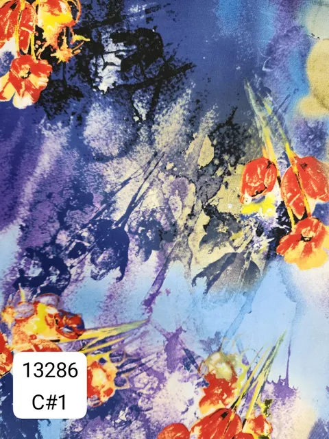 13286_C1