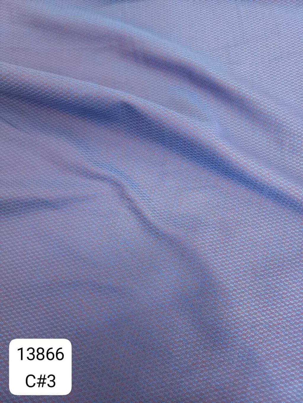 80220529