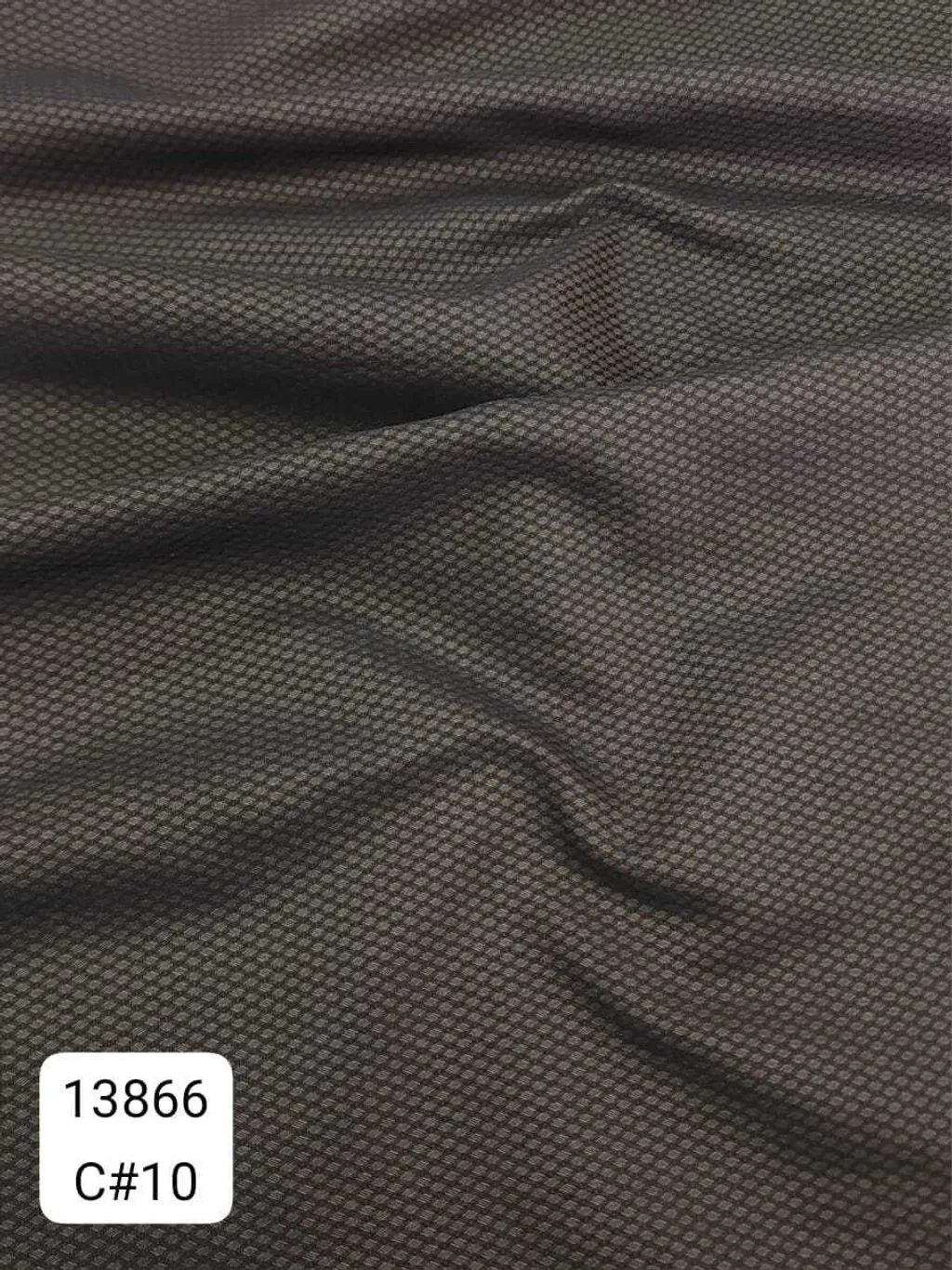 80220569