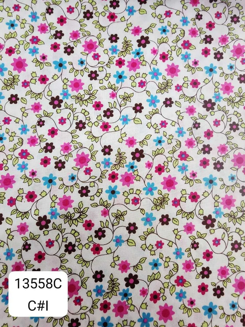 13558C_CI