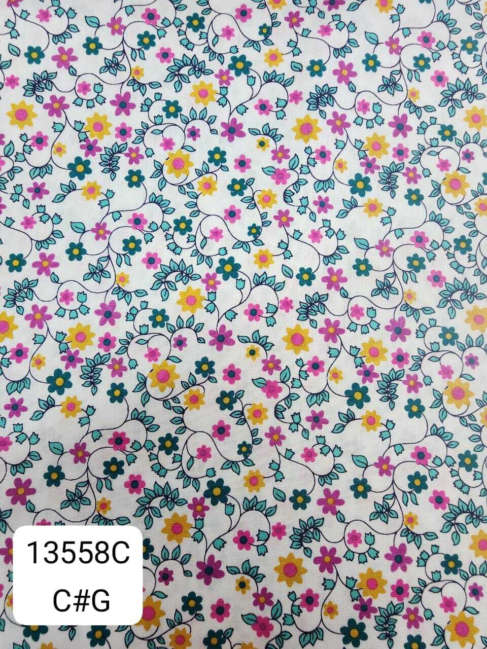 13558C_CG
