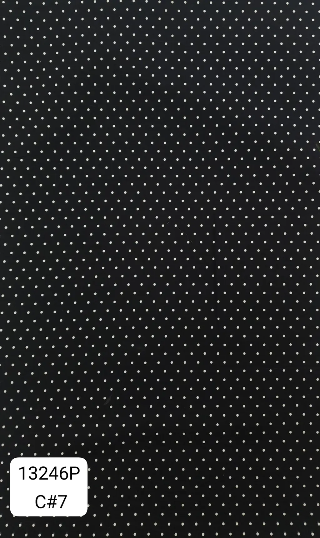 13246P_C7