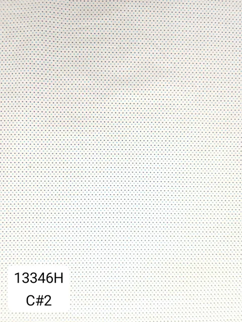 13346H_C2
