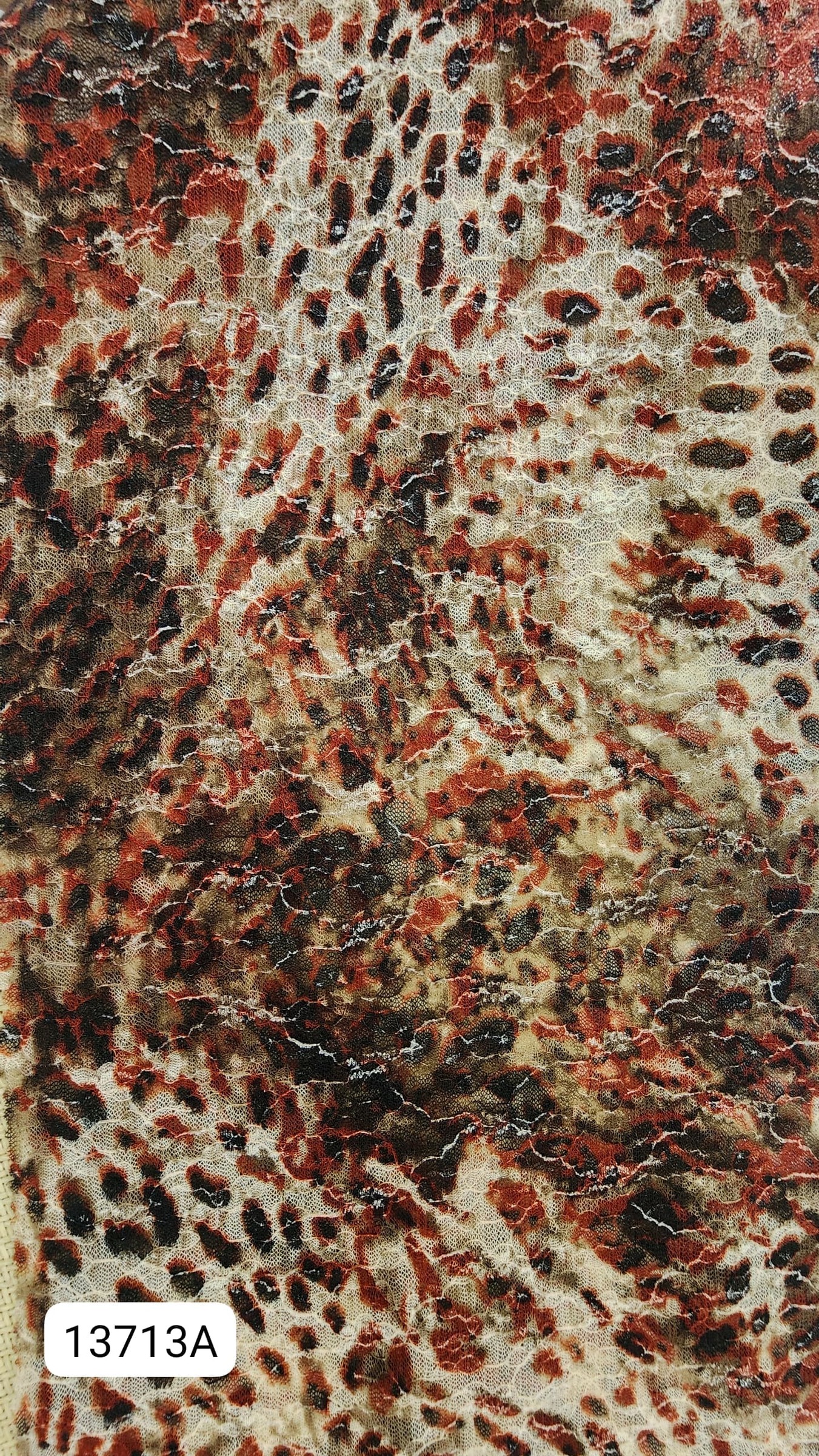 b5afdd9b-1813-48ab-905e-75f73d47069d