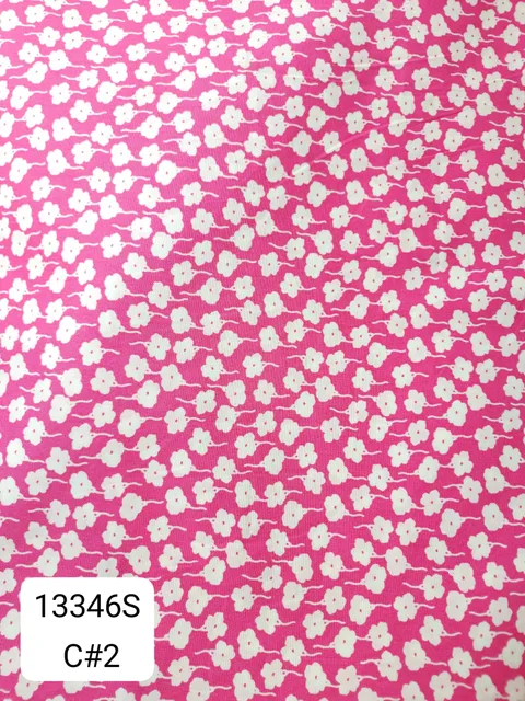 13346S_C2