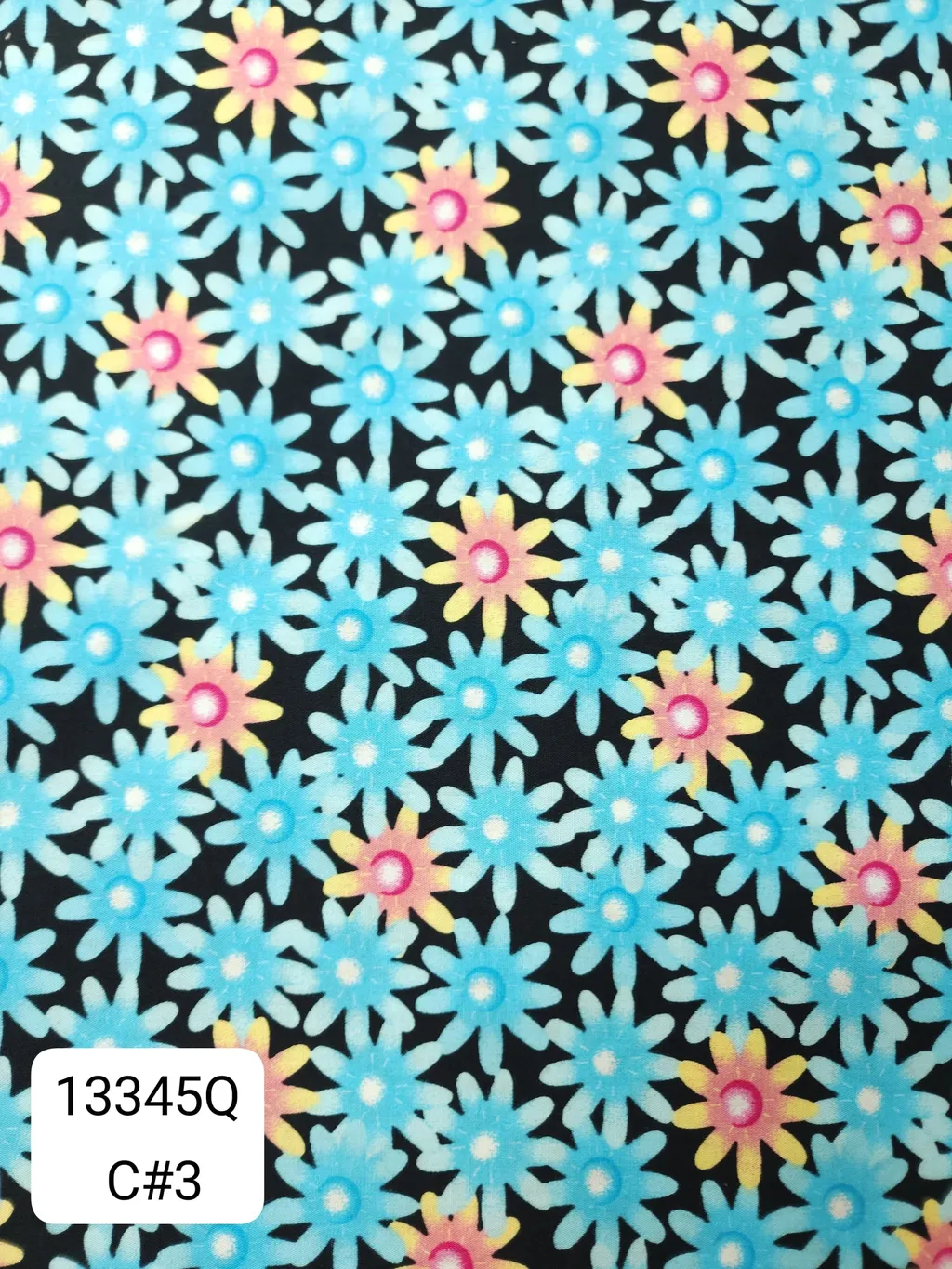 13345Q_C3