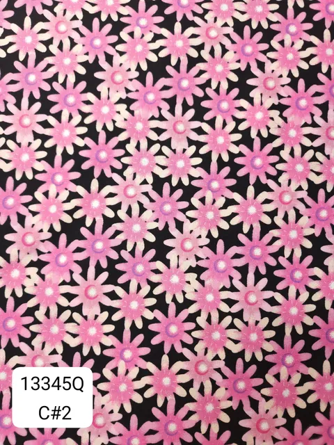 13345Q_C2