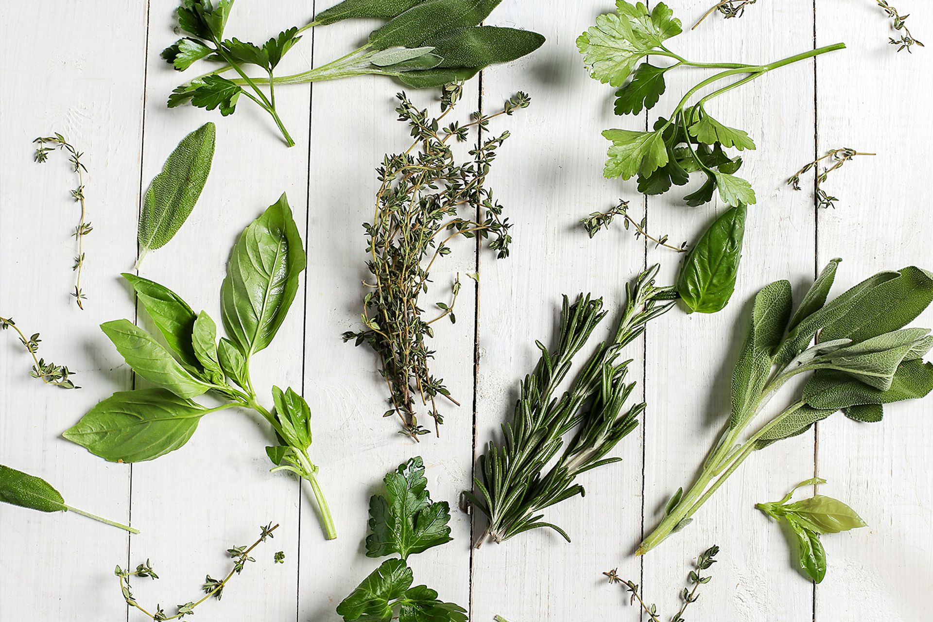 創境生活網 UnitedBorder.store | 傳統食藥植物