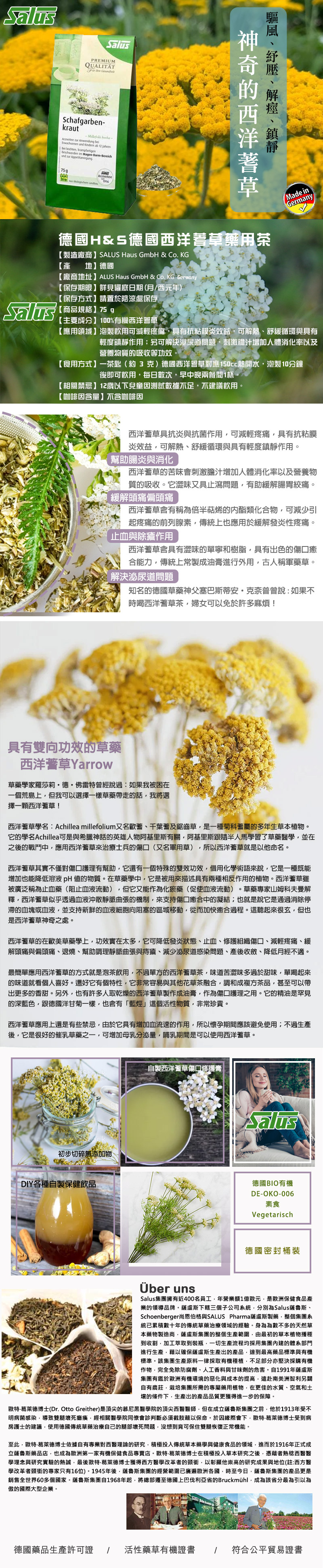 西洋蓍草藥用茶