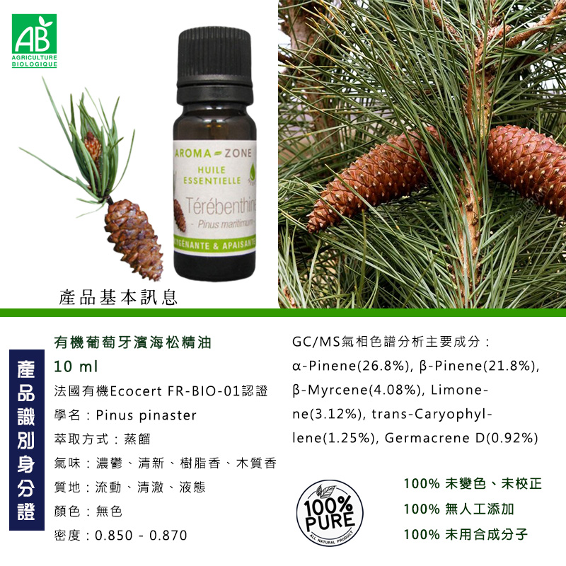 有機葡萄牙濱海松精油圖1