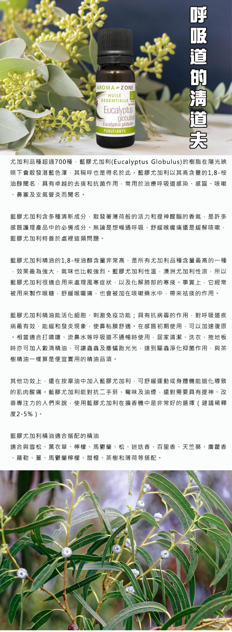 有機藍膠尤加利精油30ml圖2